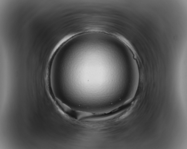 X0000086101149200703301209