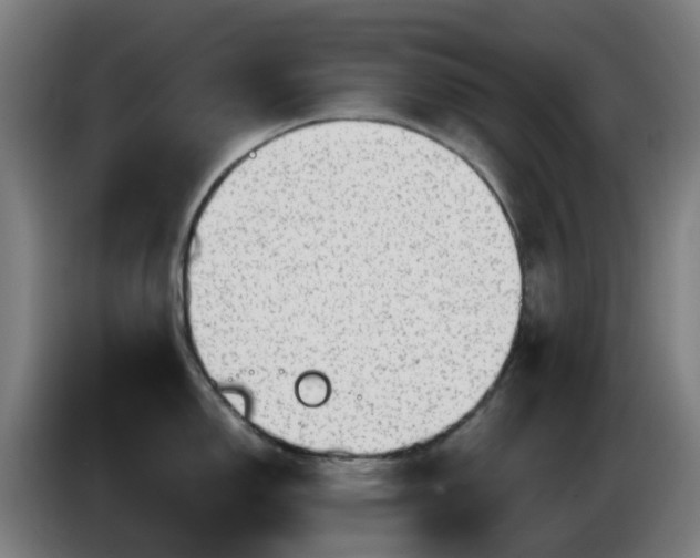 X0000086101150200703301209