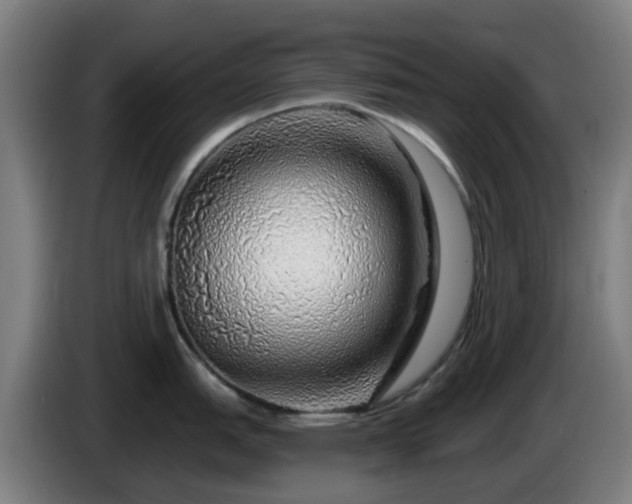 X0000086101151200703301209