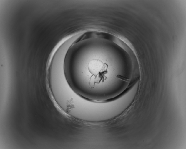 X0000086101152200703301209