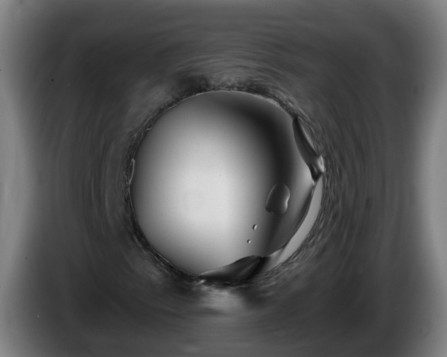 X0000086101153200703301208
