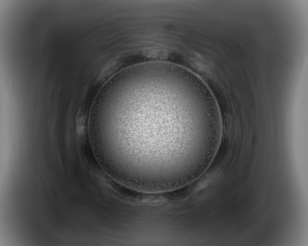 X0000086101154200703301208
