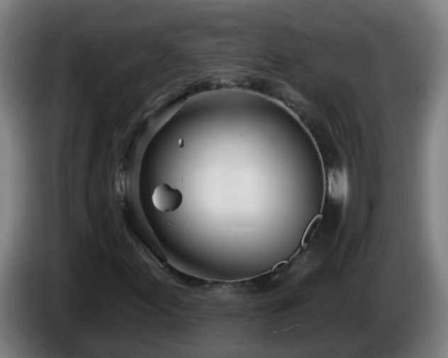 X0000086101155200703301208