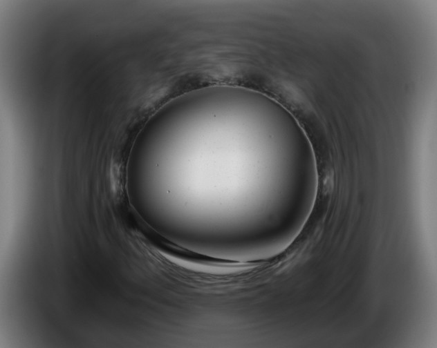 X0000086101156200703301208