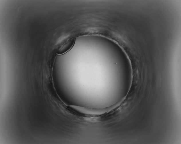 X0000086101158200703301208