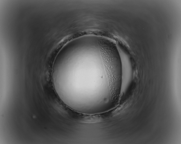 X0000086101159200703301208
