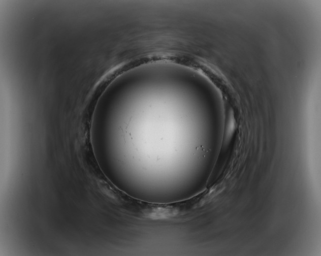 X0000086101160200703301208