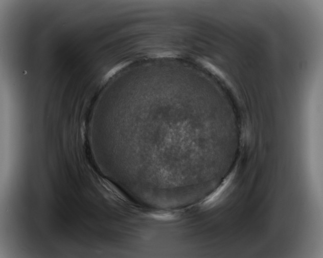 X0000086101161200703301208