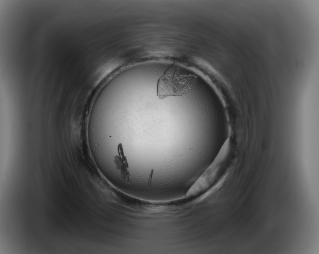 X0000086101162200703301208
