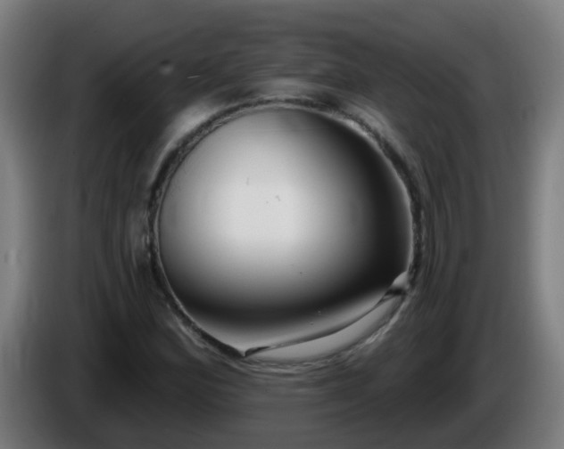 X0000086101164200703301208