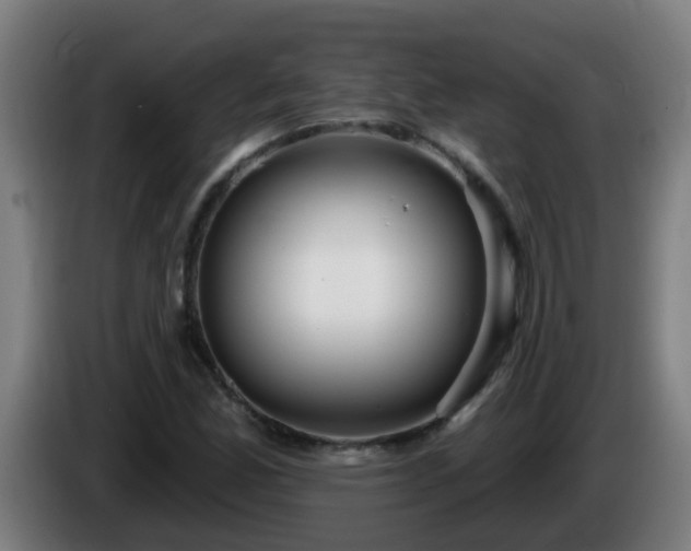 X0000086101165200703301208