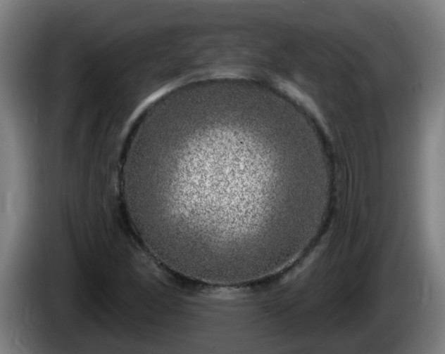 X0000086101166200703301208