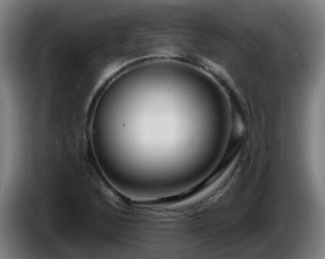X0000086101168200703301208