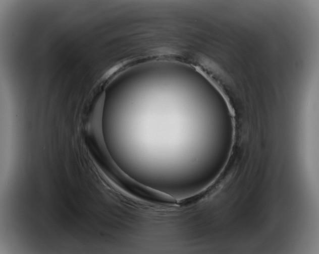 X0000086101169200703301208