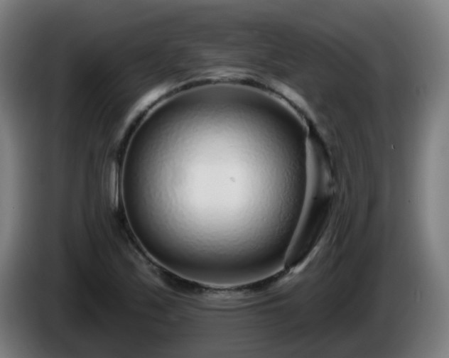 X0000086101171200703301208