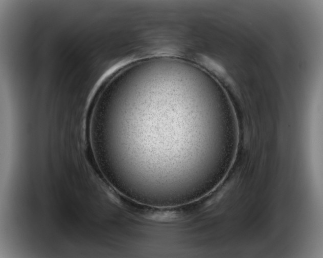 X0000086101174200703301208