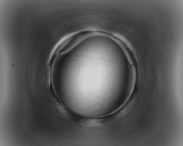 X0000086101175200703301208