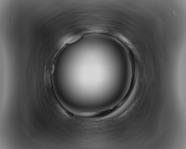 X0000086101177200703301208