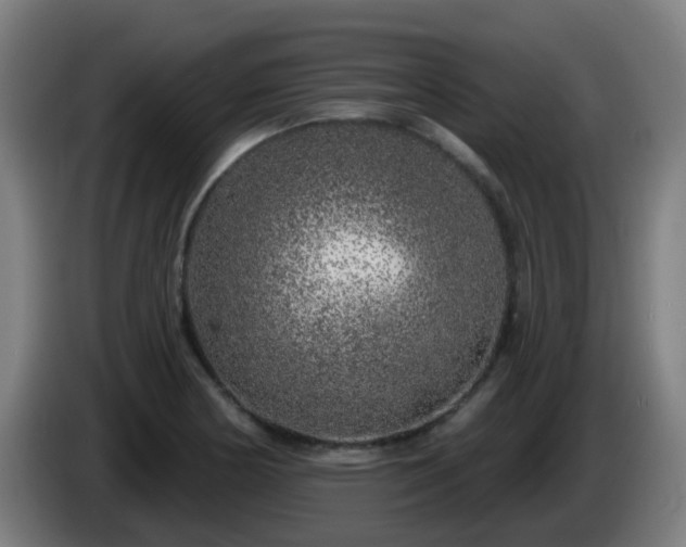 X0000086101178200703301208