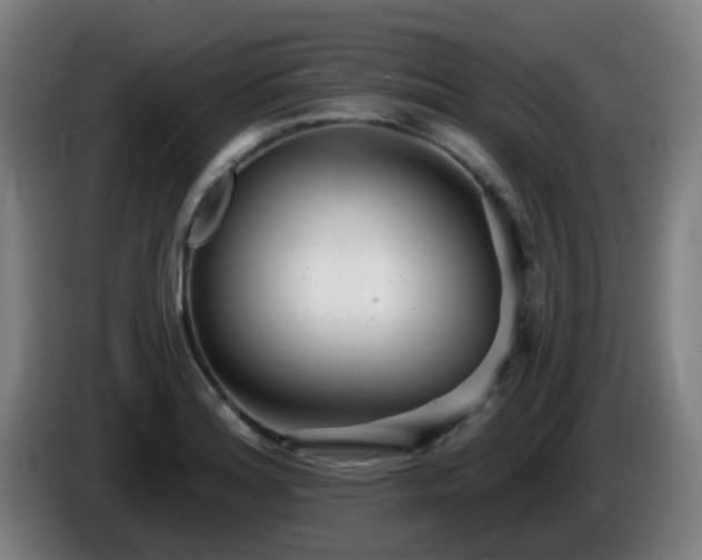 X0000086101180200703301208