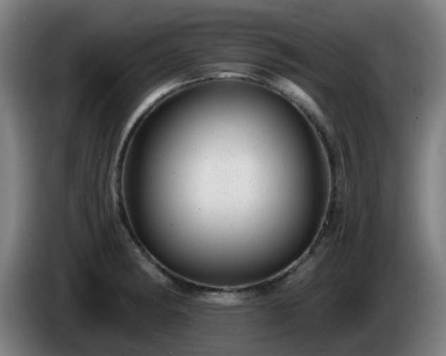 X0000086101182200703301208