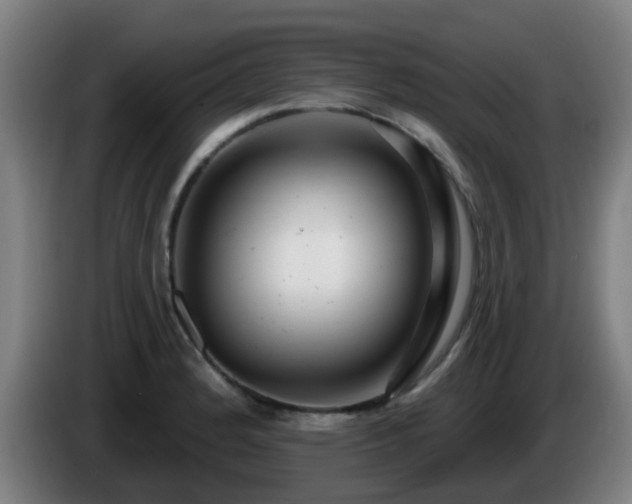 X0000086101184200703301208