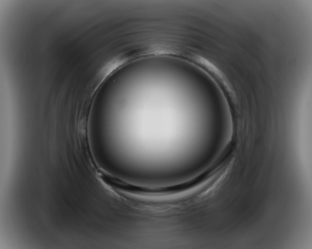 X0000086101185200703301208