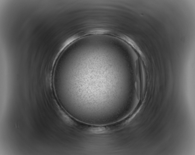 X0000086101186200703301208