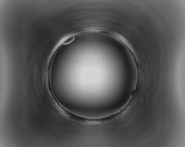 X0000086101187200703301208
