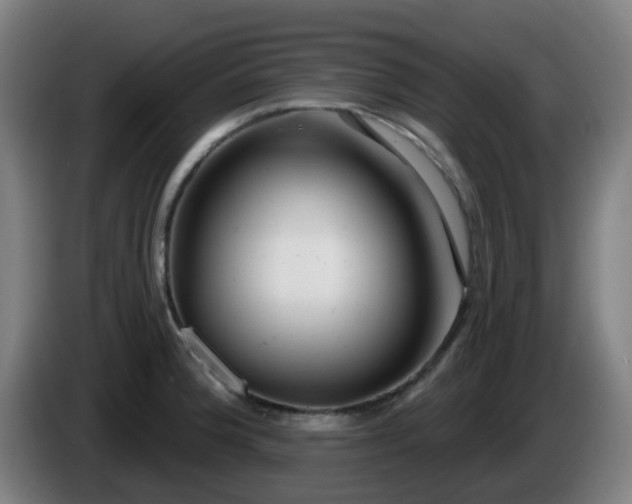 X0000086101188200703301208