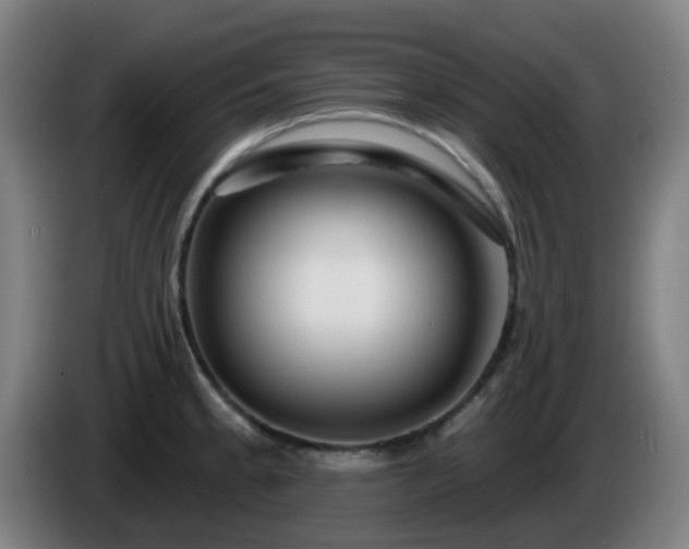 X0000086101189200703301208