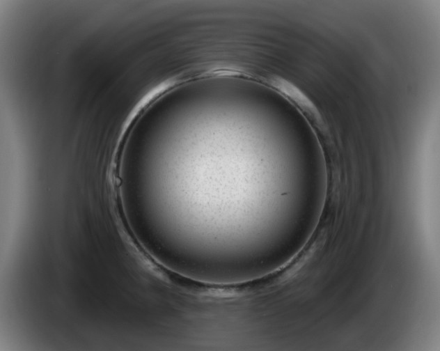 X0000086101190200703301208