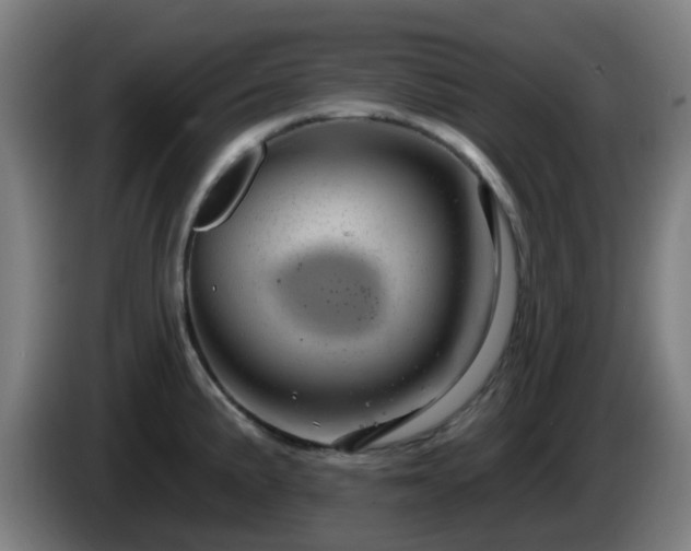 X0000086101191200703301208