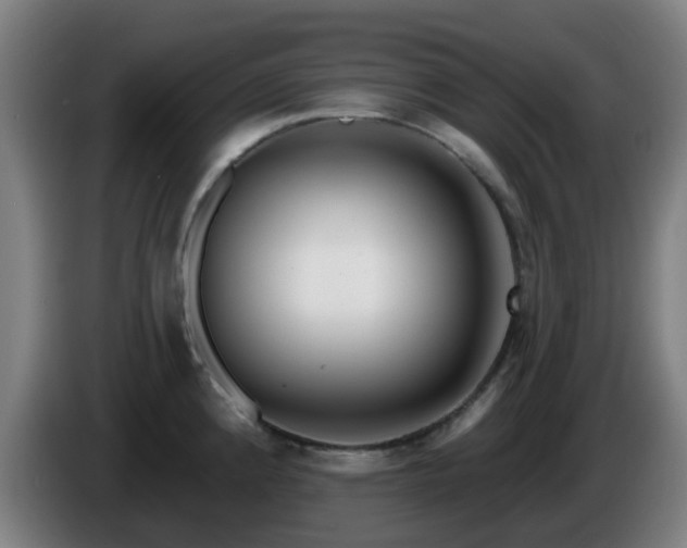 X0000086101192200703301208