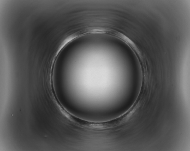 X0000086101194200703301208