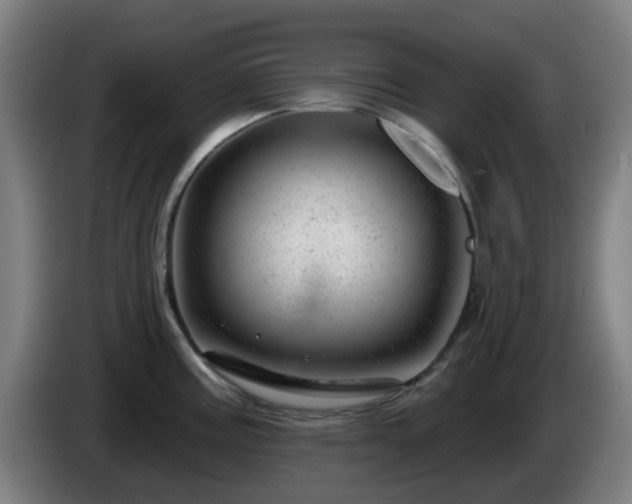 X0000086101195200703301208