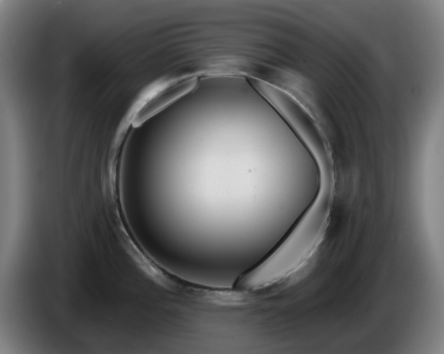 X0000086101196200703301208