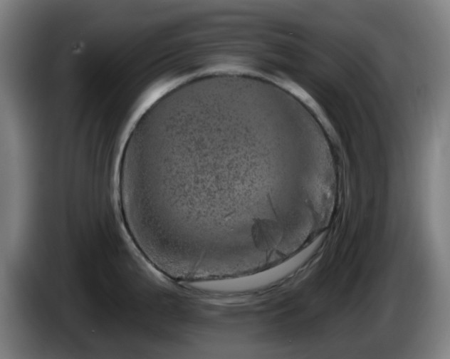 X0000086101199200703301208