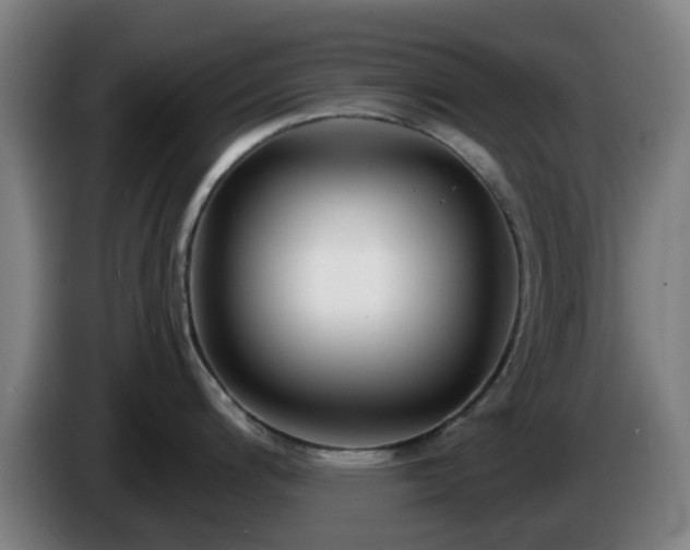 X0000086101200200703301208