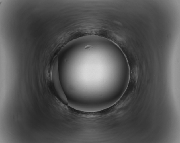X0000086101202200703301207