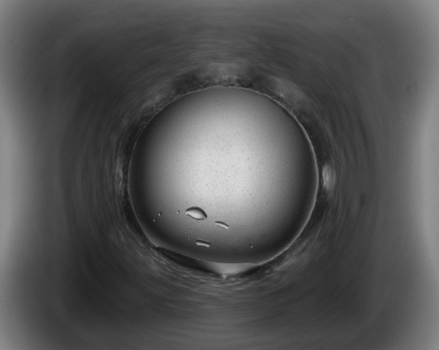 X0000086101203200703301207