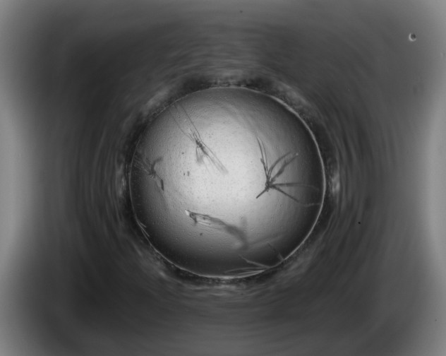 X0000086101204200703301207