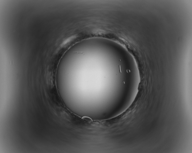 X0000086101205200703301207