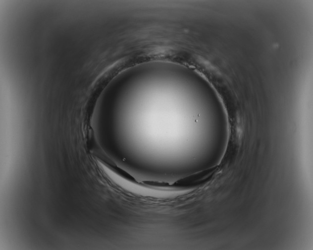 X0000086101206200703301207