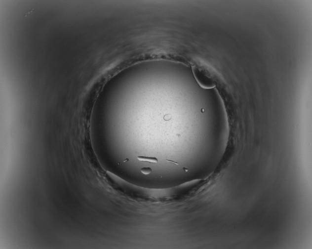 X0000086101207200703301207