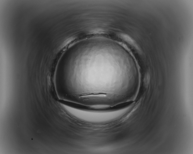 X0000086101209200703301207