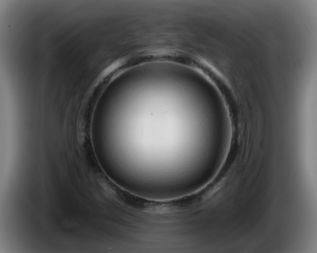 X0000086101213200703301207
