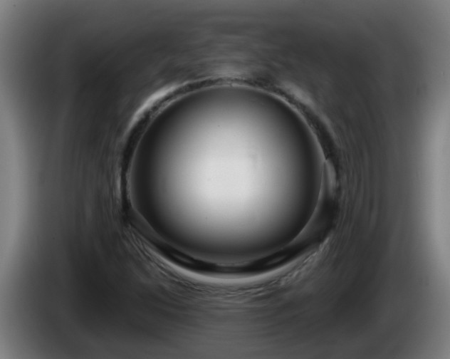 X0000086101214200703301207
