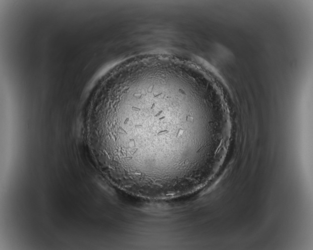 X0000086101215200703301207