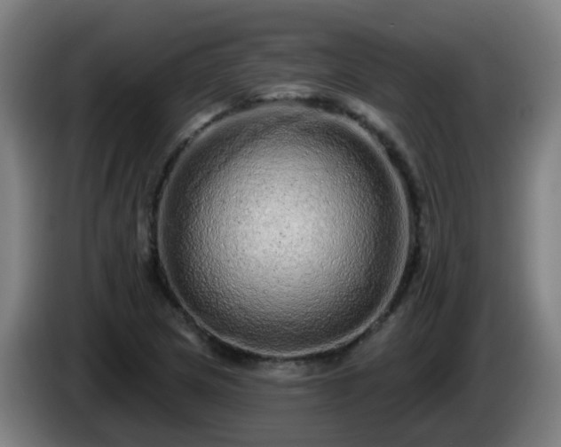 X0000086101217200703301207